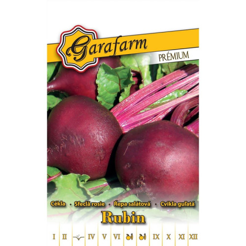 Cvikla Rubin - guľatá