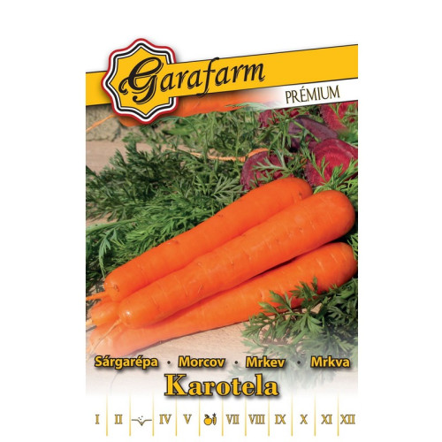 #8594 Mrkva Karotela - skorá