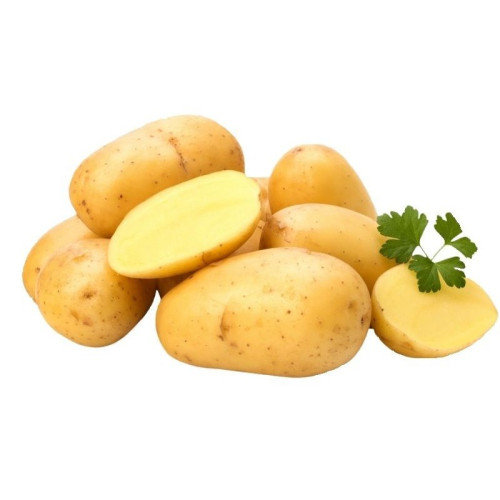 #9896 Holandské sadivo zemiakov minihľuzy 50ks - COLOMBA ab