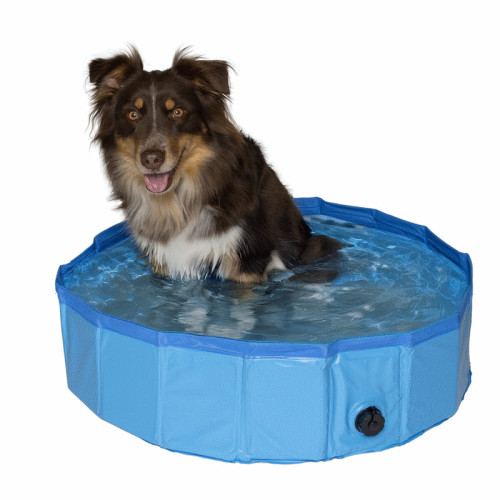 #10301 Bazén skladací pre Psov 80x20 cm