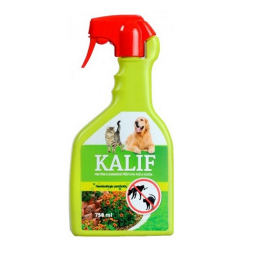 #10627 kalif pes a mačka