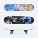 Skateboard Spokey Drakos