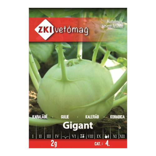 #11268 kaleráb gigant