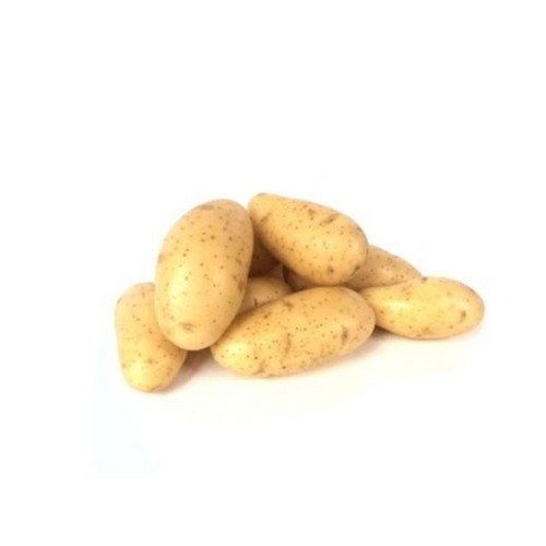 #11294 Holandské sadivo zemiakov  minihľuzy 50ks-ANNABELL
