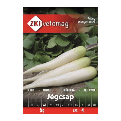 #11386 reďkovka biela dlhá