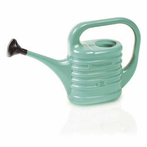 #11466 krhla zebra šalvia