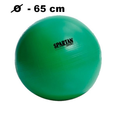 Fit lopta Spartan 65 cm