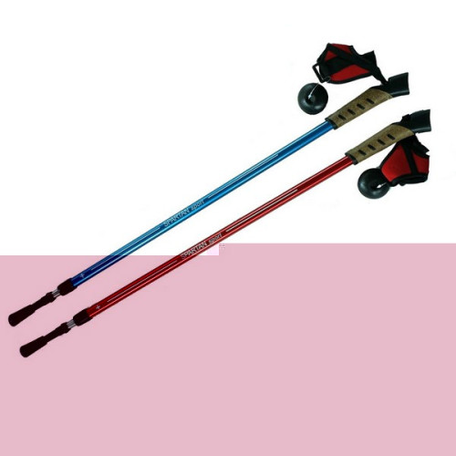 Trekingové palice Spartan Nording Walking