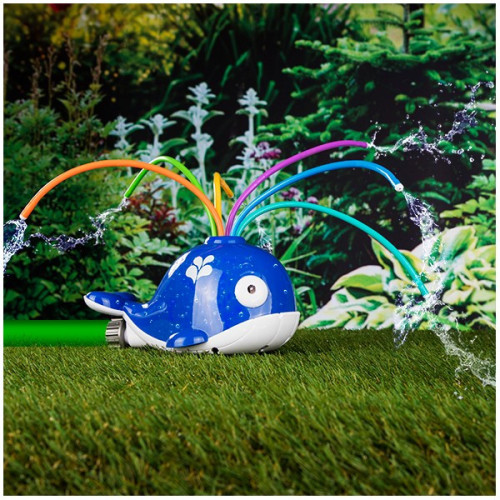 Striekajúca veľryba - WALL