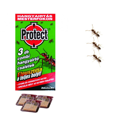 PROTECT Combi - nástraha na čierne Mravce 3 ks