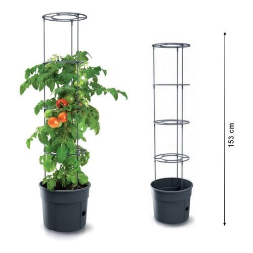 Kvetináč  TOMATO GROWER antracit 39,2cm 153cm