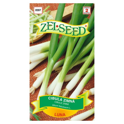 Cibuľka Zimná LUNA