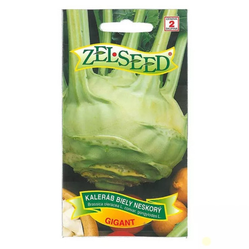 Kaleráb neskorý GIGANT