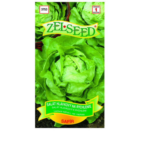 Šalát na rýchlenei SAFIR