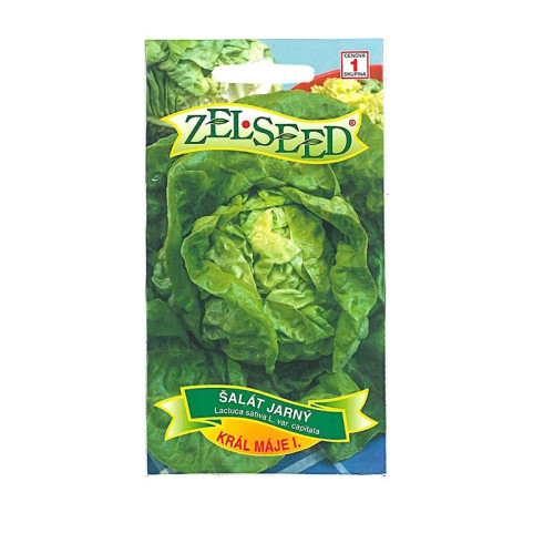 Šalát jarný KRAL MAJA