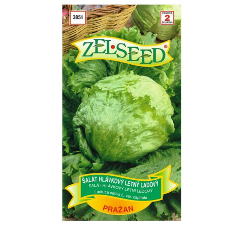 Šalát letný ľadový PRAŽAN