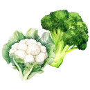Brokolica - Karfiol