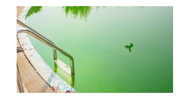 Zelená voda v bazéne